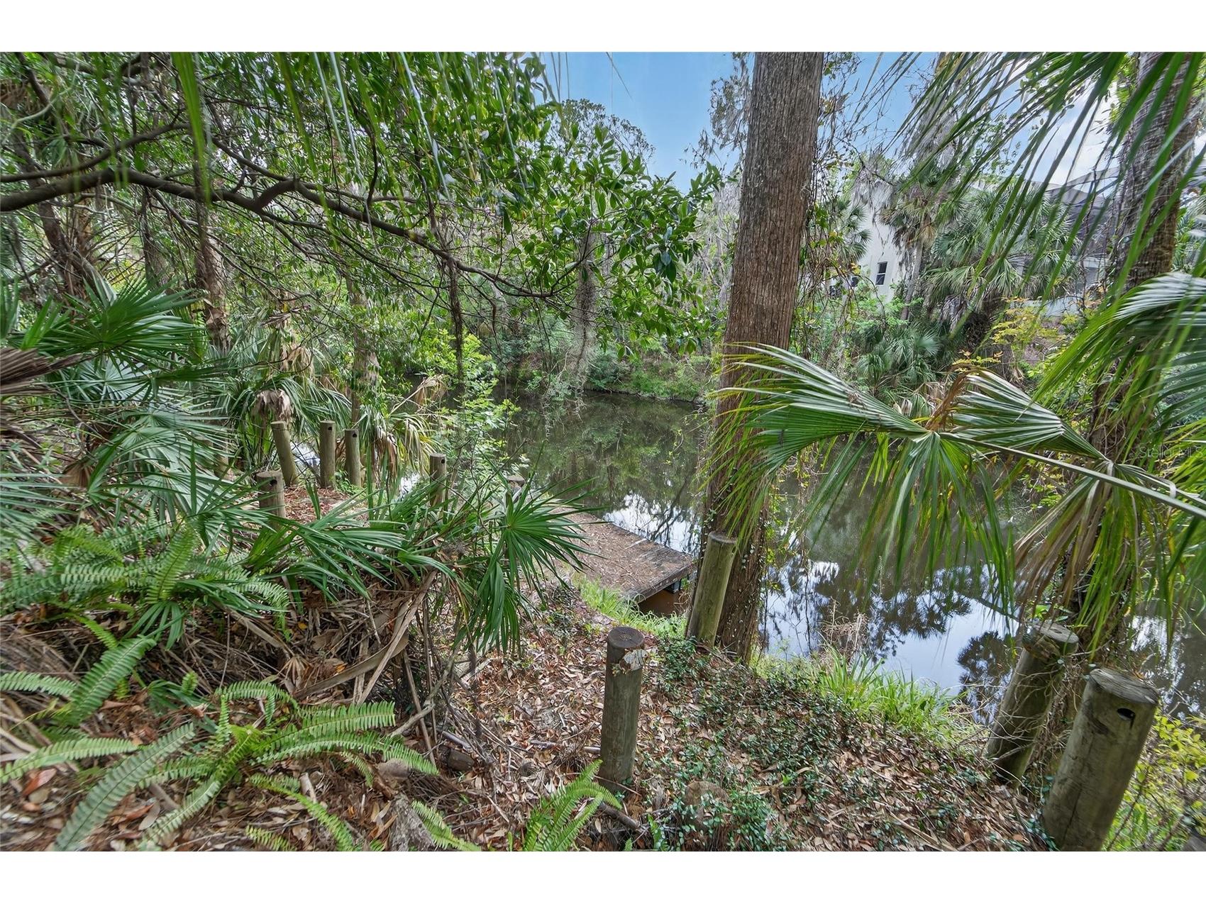 902 River Rapids Avenue Brandon FL 33511 TB8491110 image75