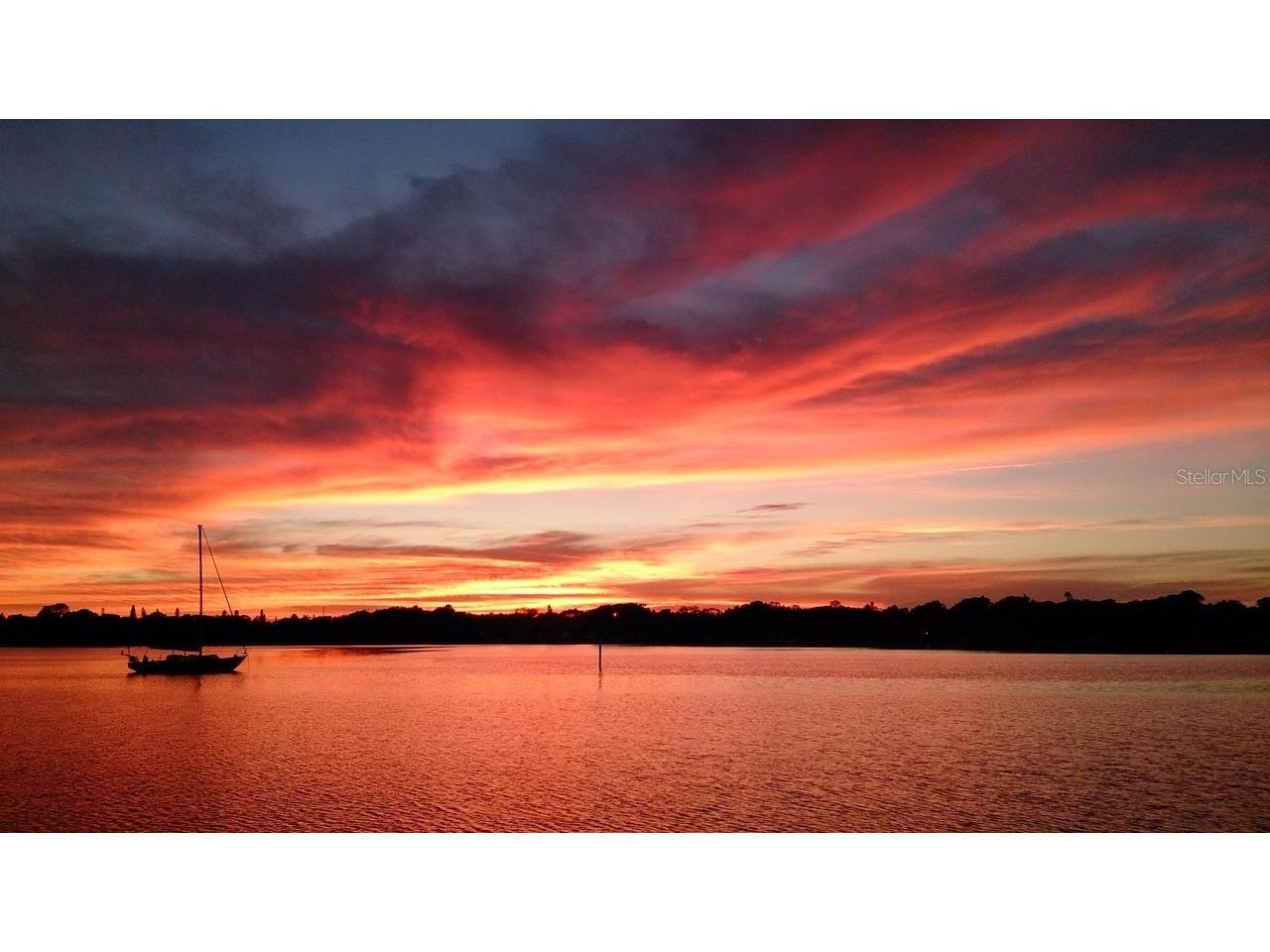 902 S Bruce Street #B Tampa FL 33606 TB8484073 image39
