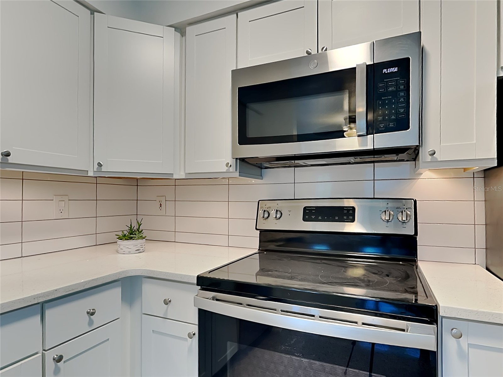 902 S Bruce Street #B Tampa FL 33606 TB8484073 image9