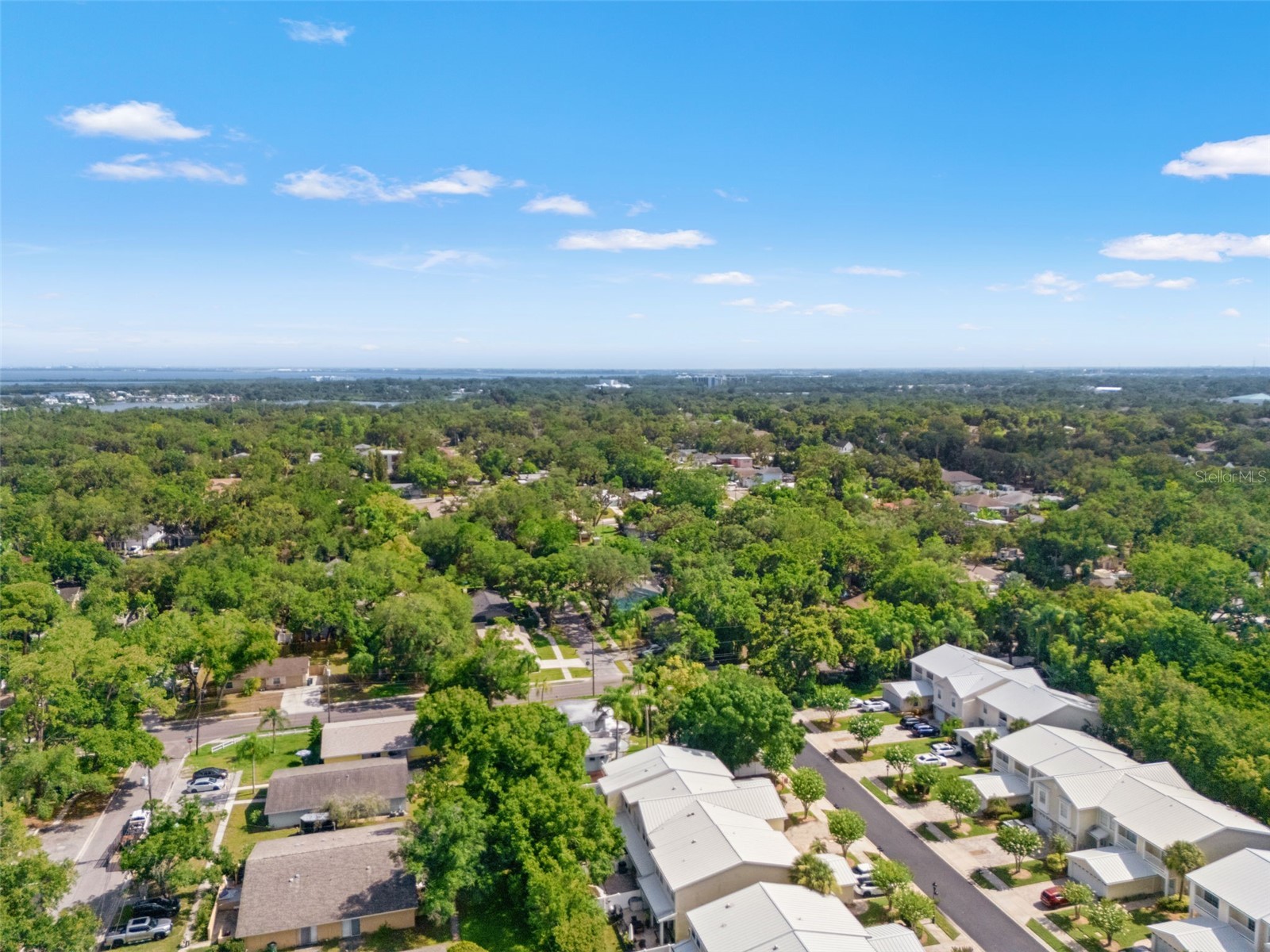 902 Woodbridge Court Safety Harbor FL 34695 TB8521049 image50
