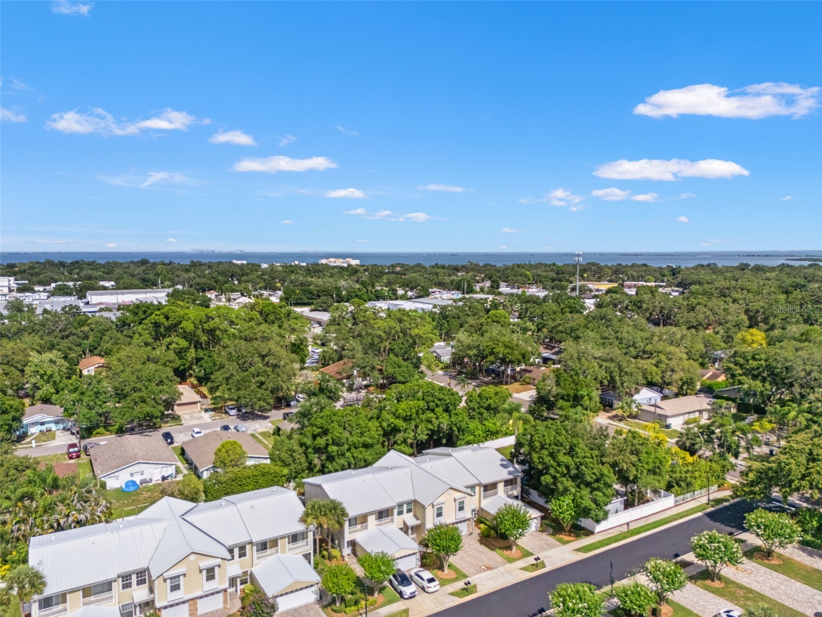 902 Woodbridge Court Safety Harbor FL 34695 TB8521049 image52