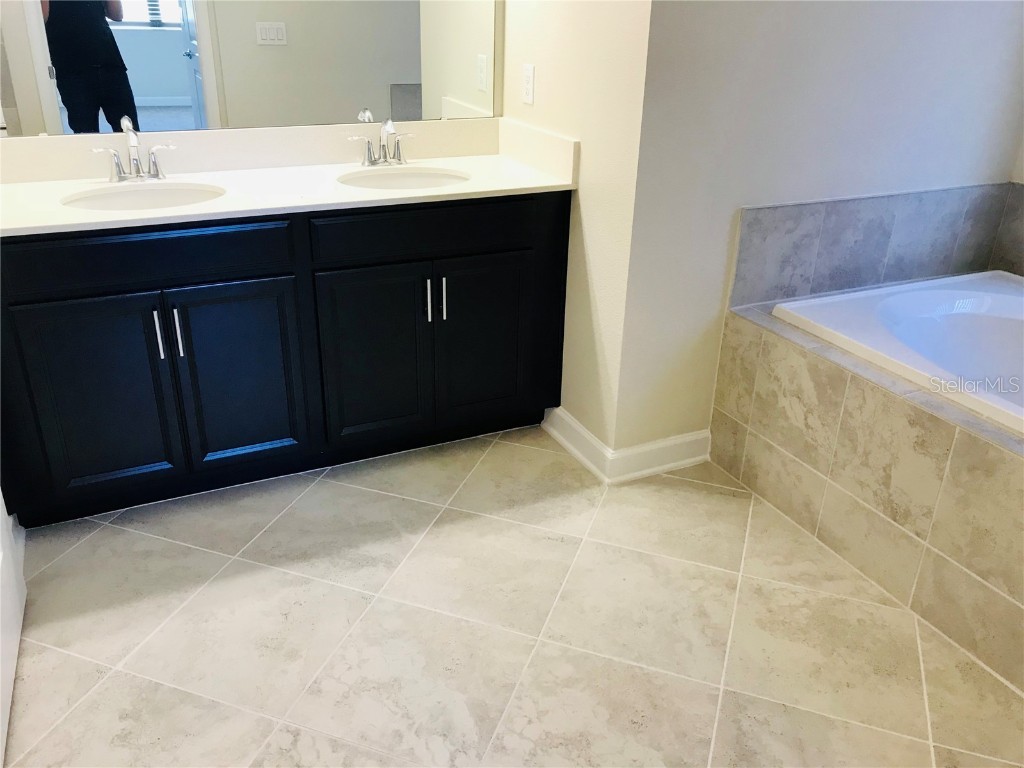 9020 Azalea Sands Lane Davenport FL 33896 O6346900 image4