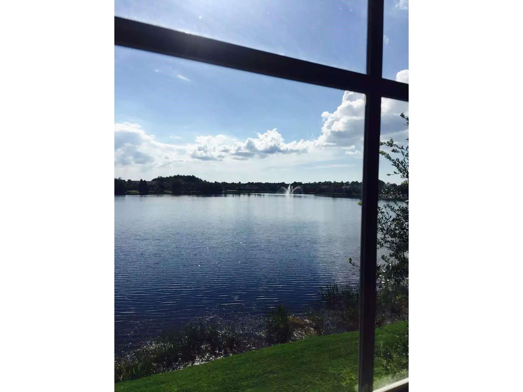 9020 Lake Chase Island Way #9020 Tampa FL 33626 TB8496876 image4