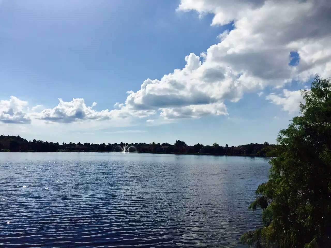 9020 Lake Chase Island Way #9020 Tampa FL 33626 TB8511849 image2