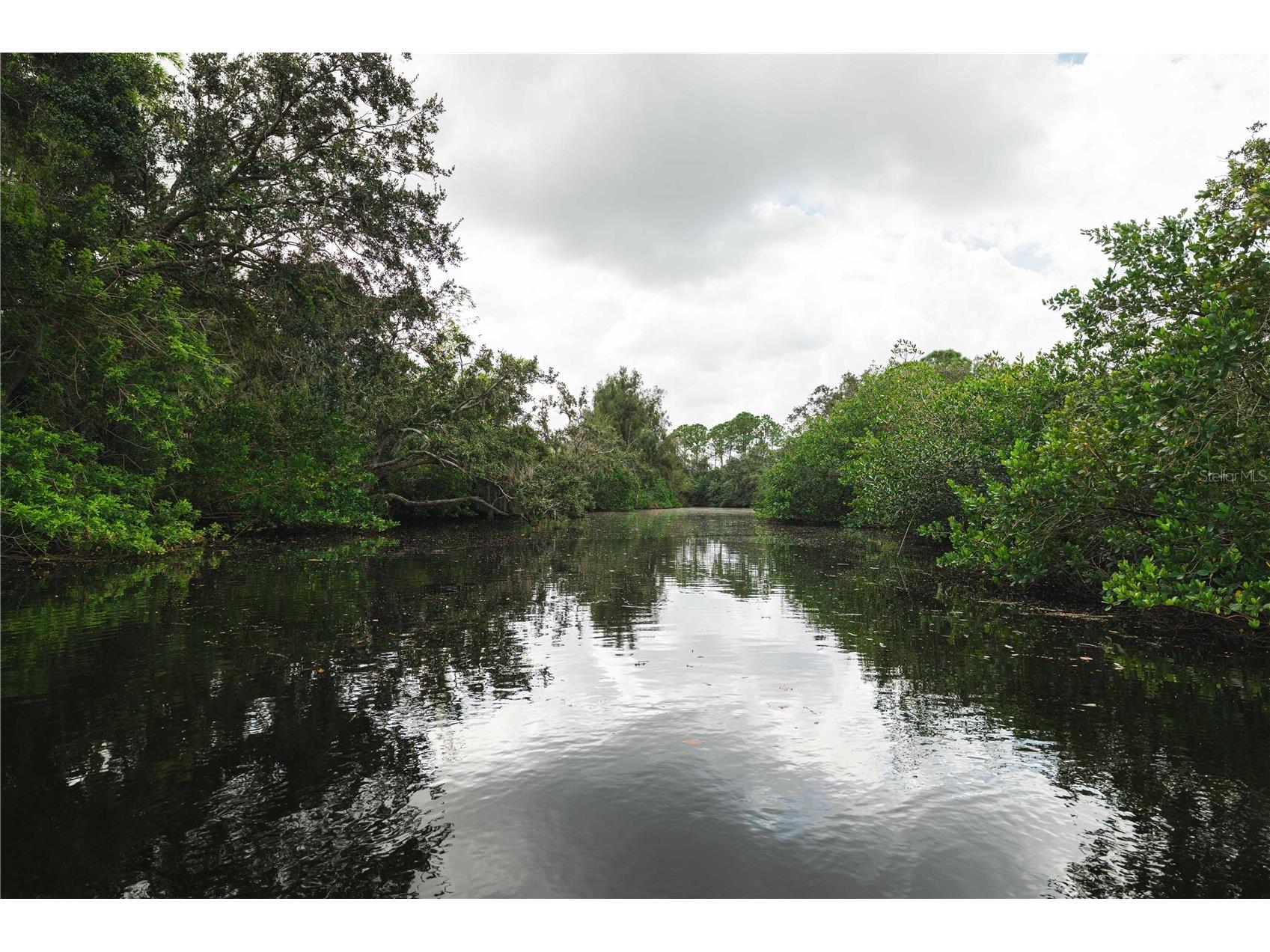 9020 N River Road Tampa FL 33635 TB8436908 image61