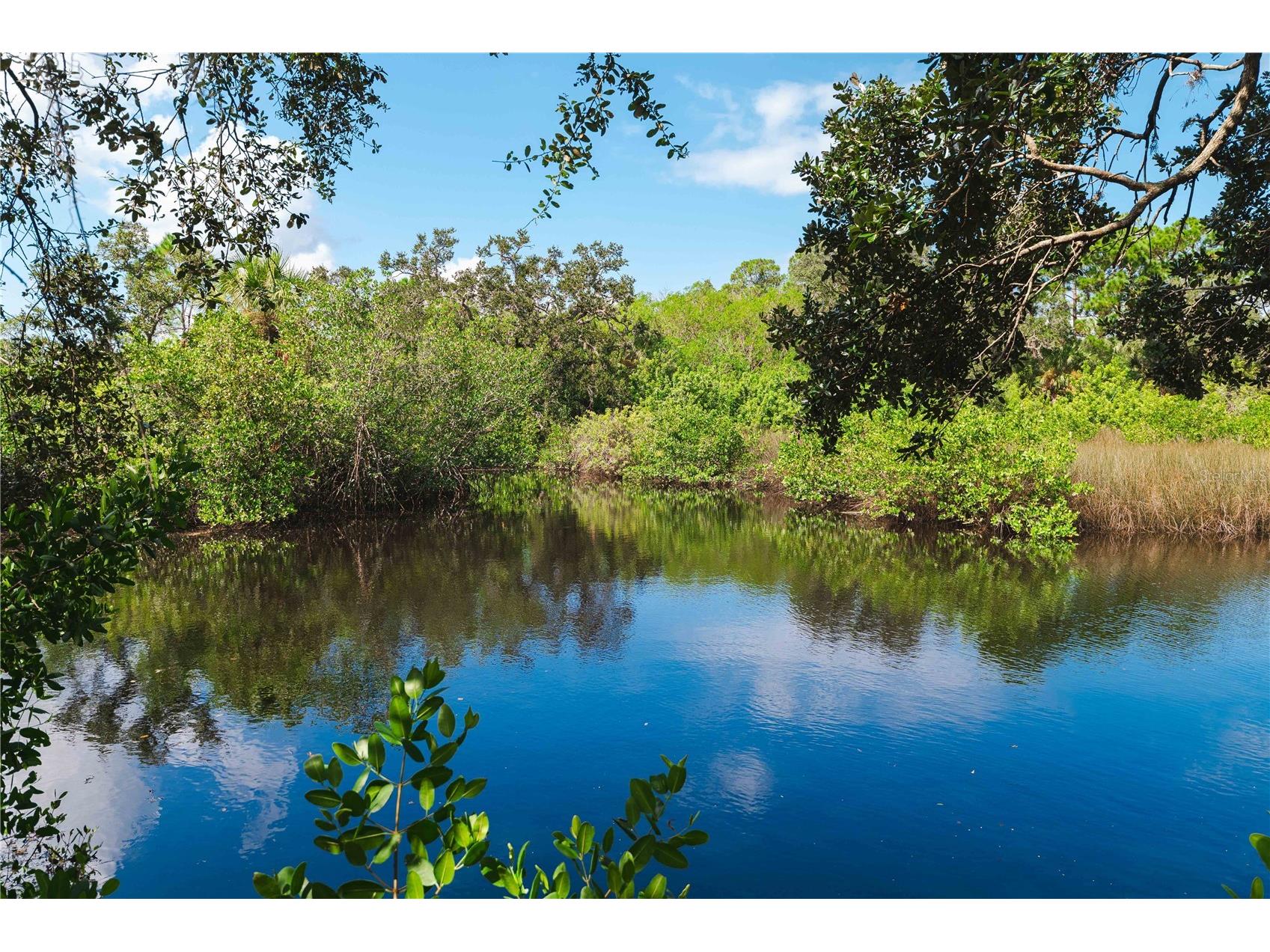 9020 N River Road Tampa FL 33635 TB8436908 image63