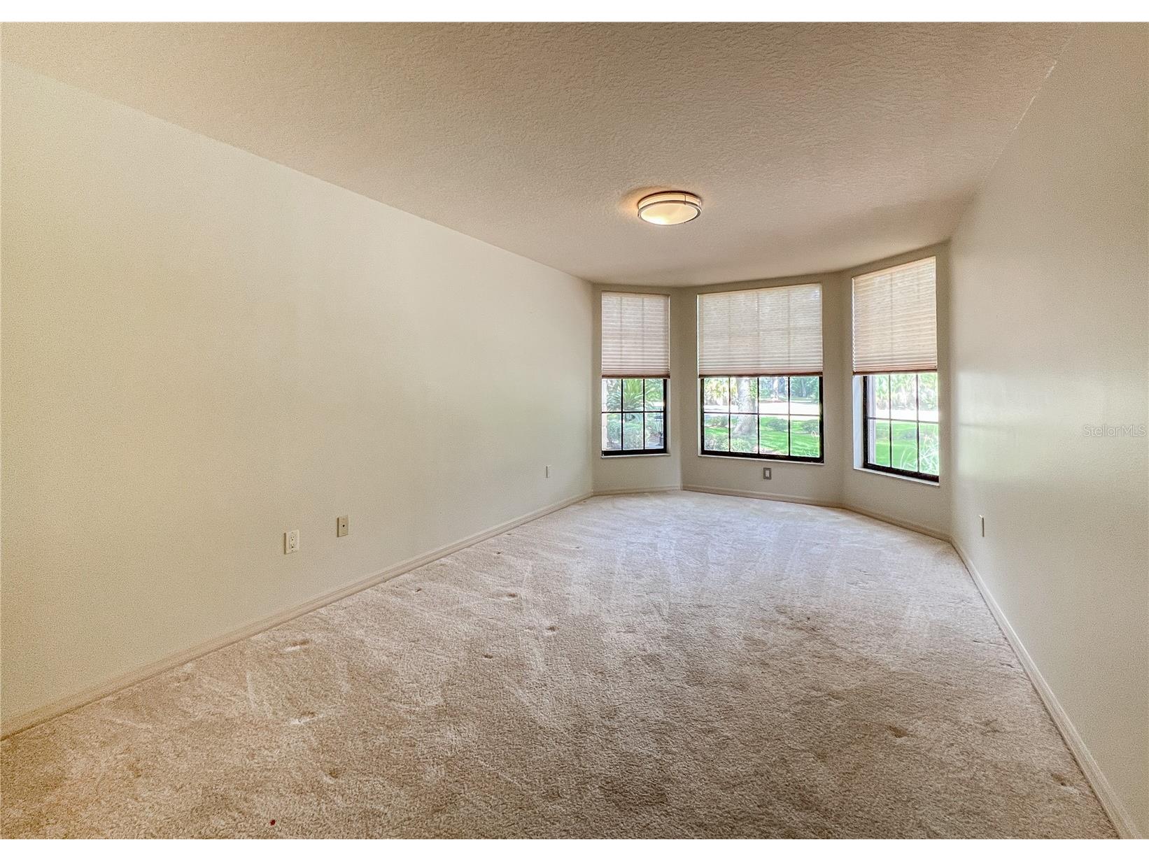 9020 Shenandoah Run Wesley Chapel FL 33544 TB8521153 image14