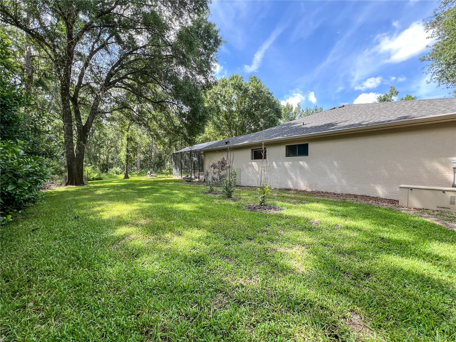 9020 Shenandoah Run Wesley Chapel FL 33544 TB8521153 image33