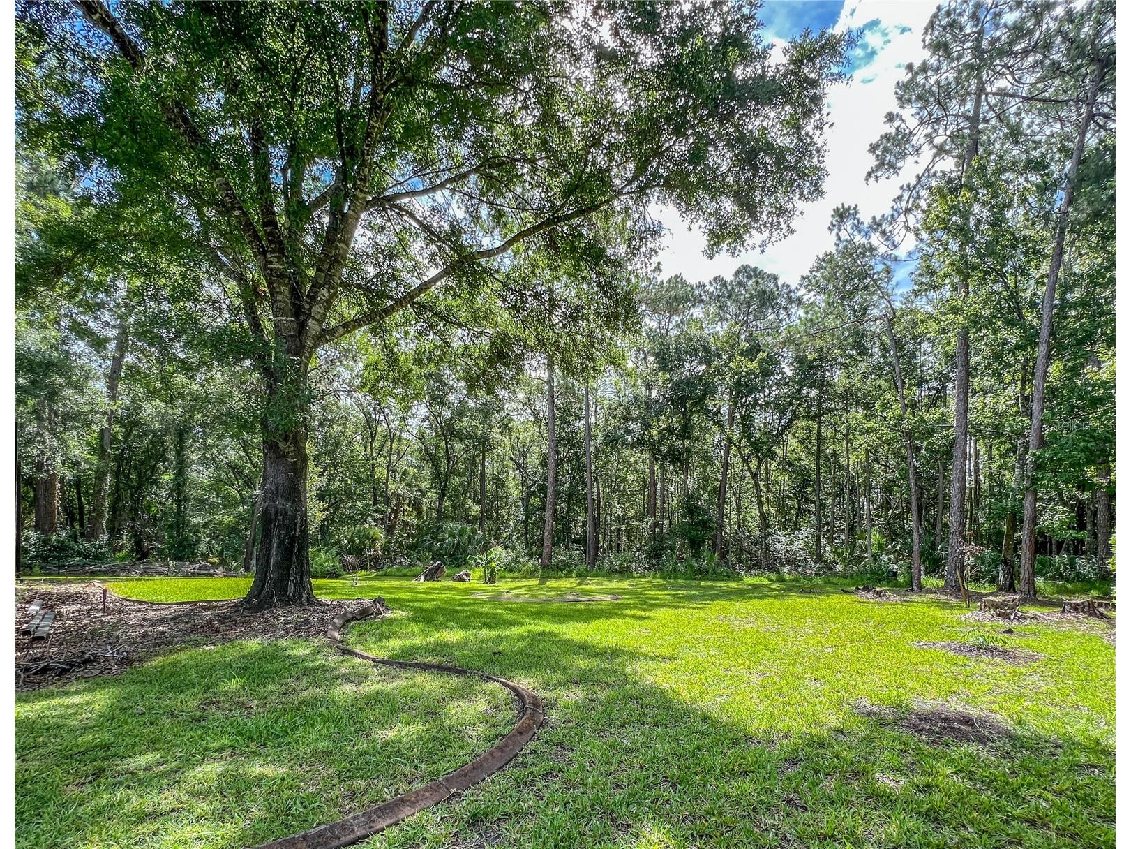 9020 Shenandoah Run Wesley Chapel FL 33544 TB8521153 image38