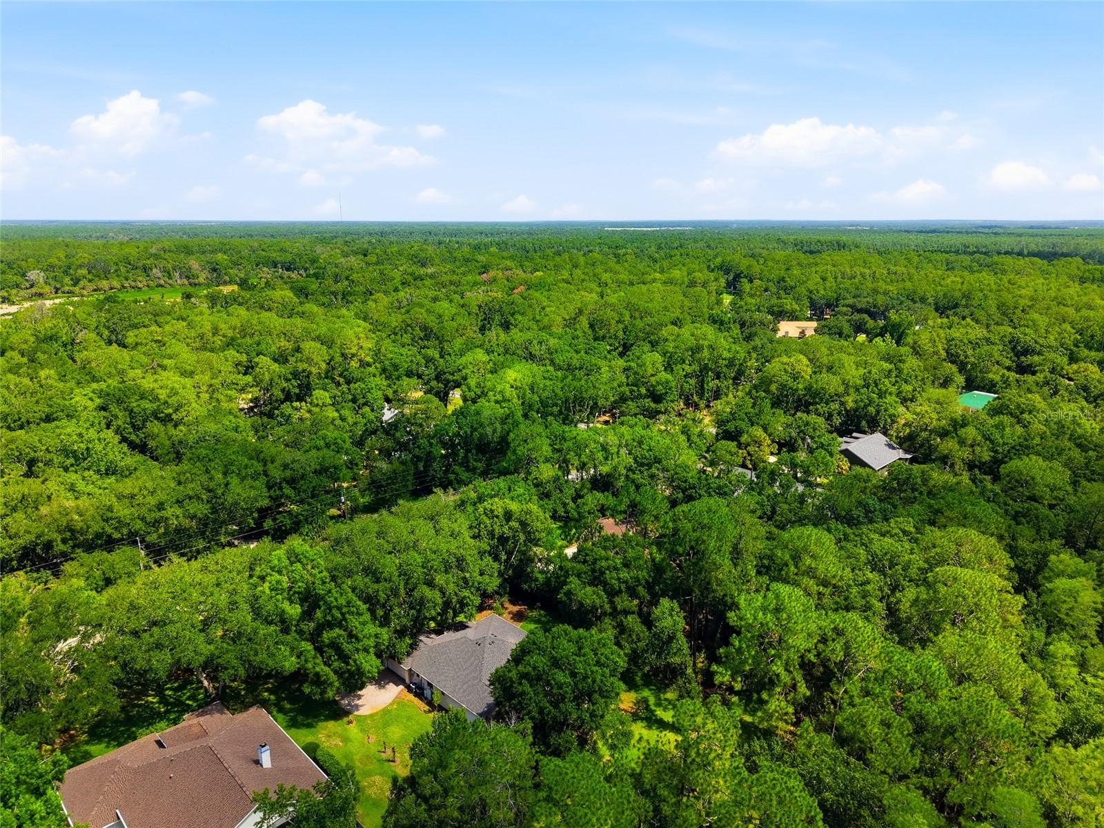 9020 Shenandoah Run Wesley Chapel FL 33544 TB8521153 image57
