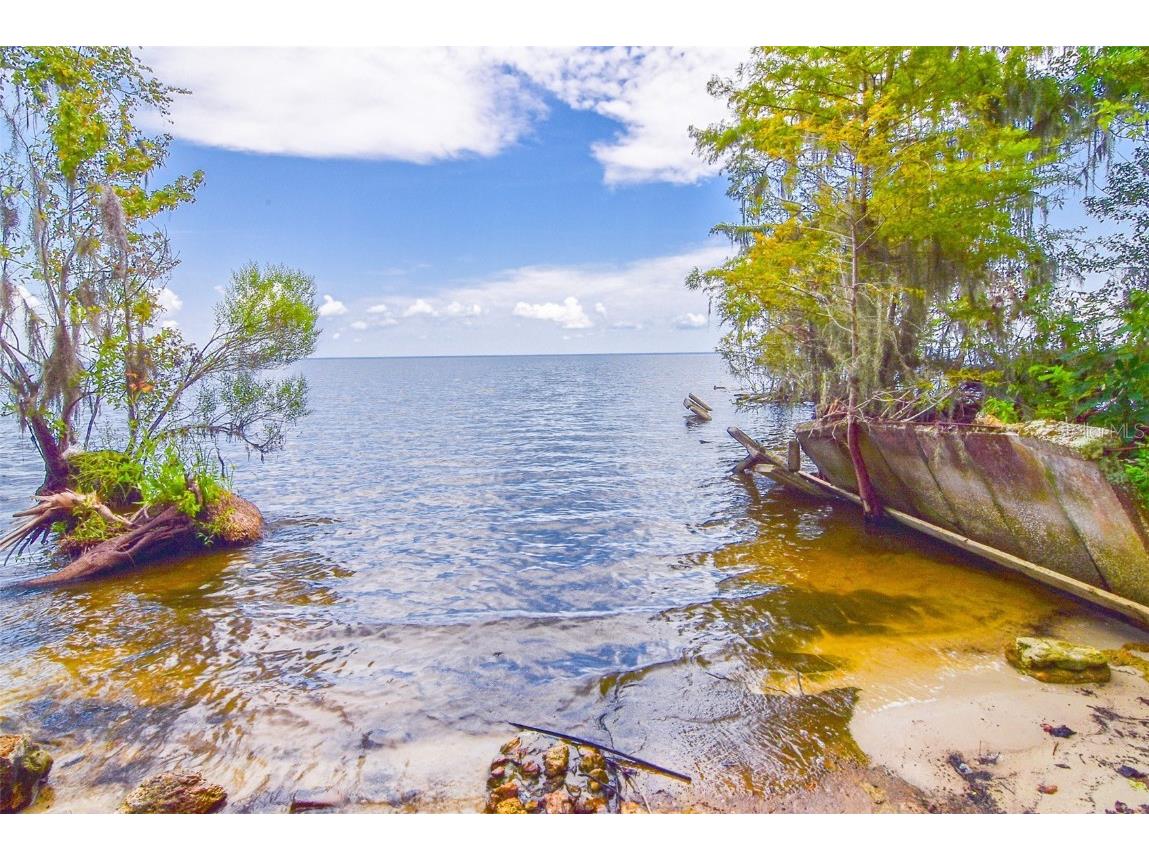 9021 NE 310th Avenue Salt Springs FL 32134 - Lake George OM663940 image1