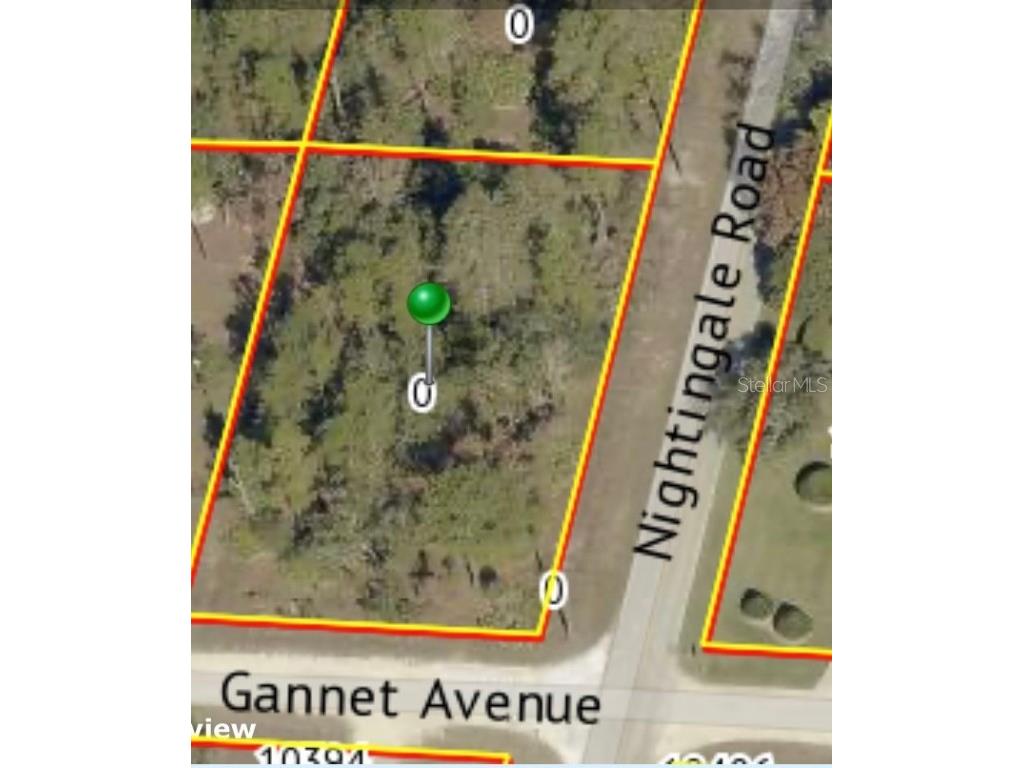 9021 Nightingale Road Weeki Wachee FL 34613 TB8440748 image1