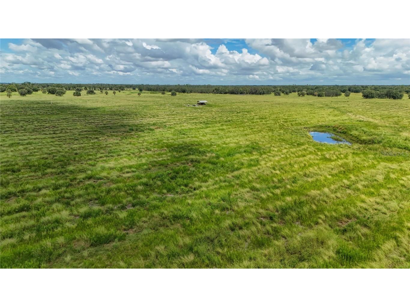 9022 Gough Road Ona FL 33865 O6352568 image12