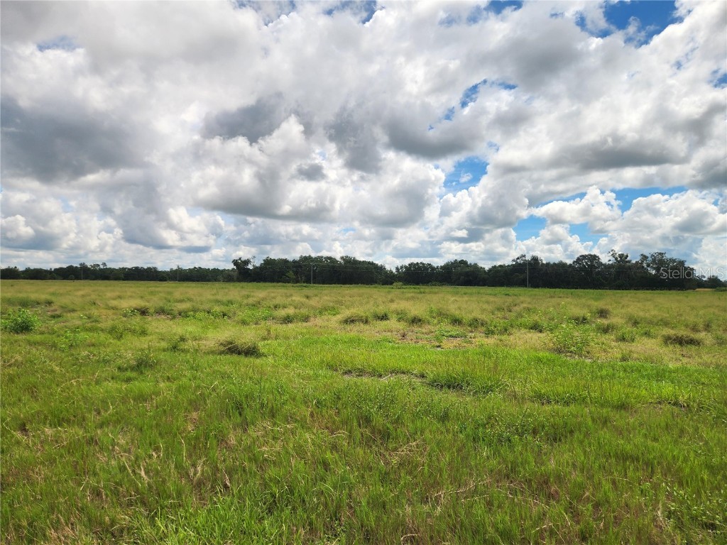 9022 Gough Road Ona FL 33865 O6352568 image7