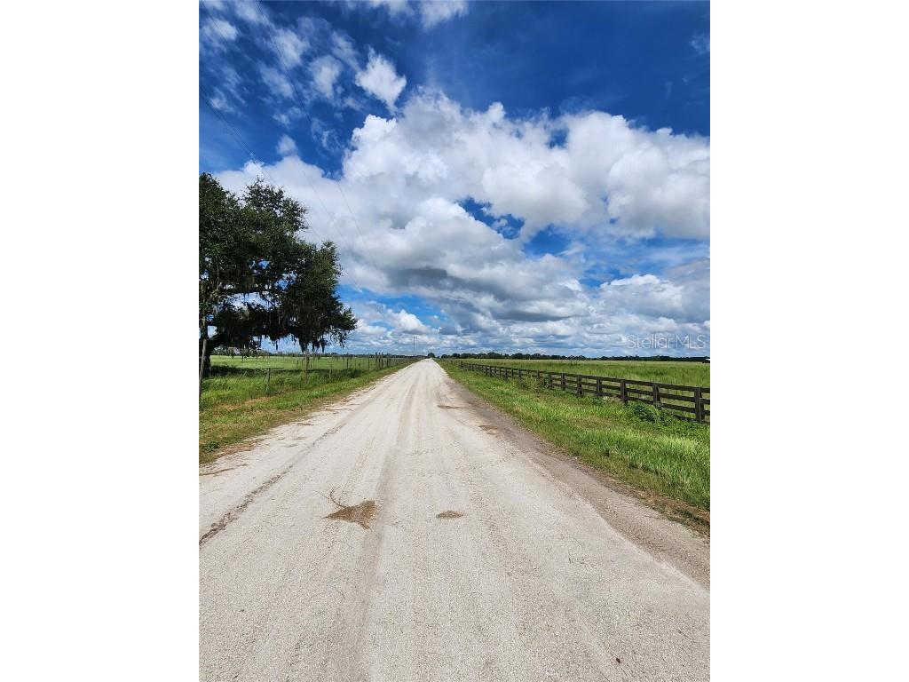 9022 Gough Road Ona FL 33865 O6352568 image8