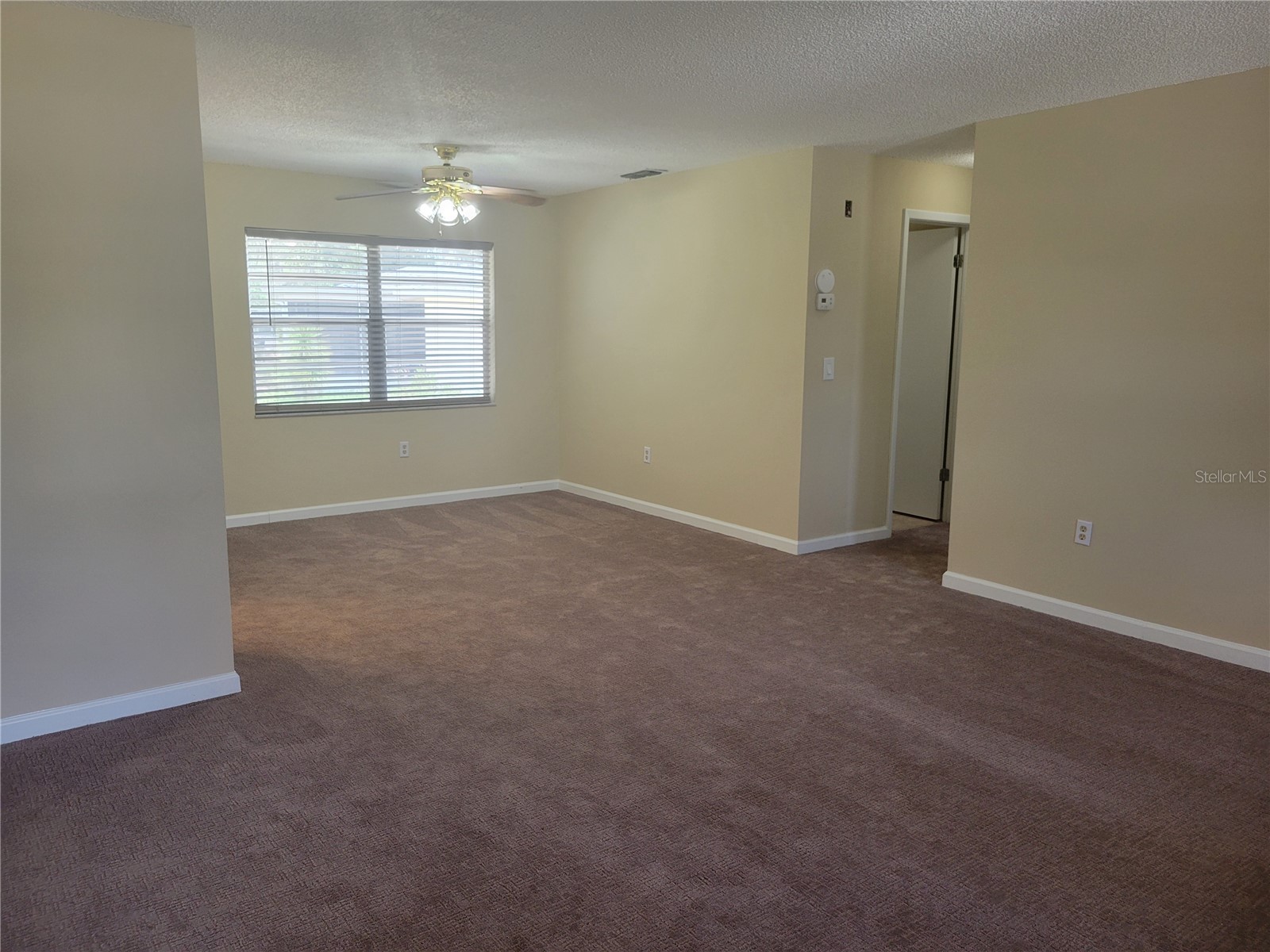 9022 Lingrove Road Weeki Wachee FL 34613 TB8512969 image12