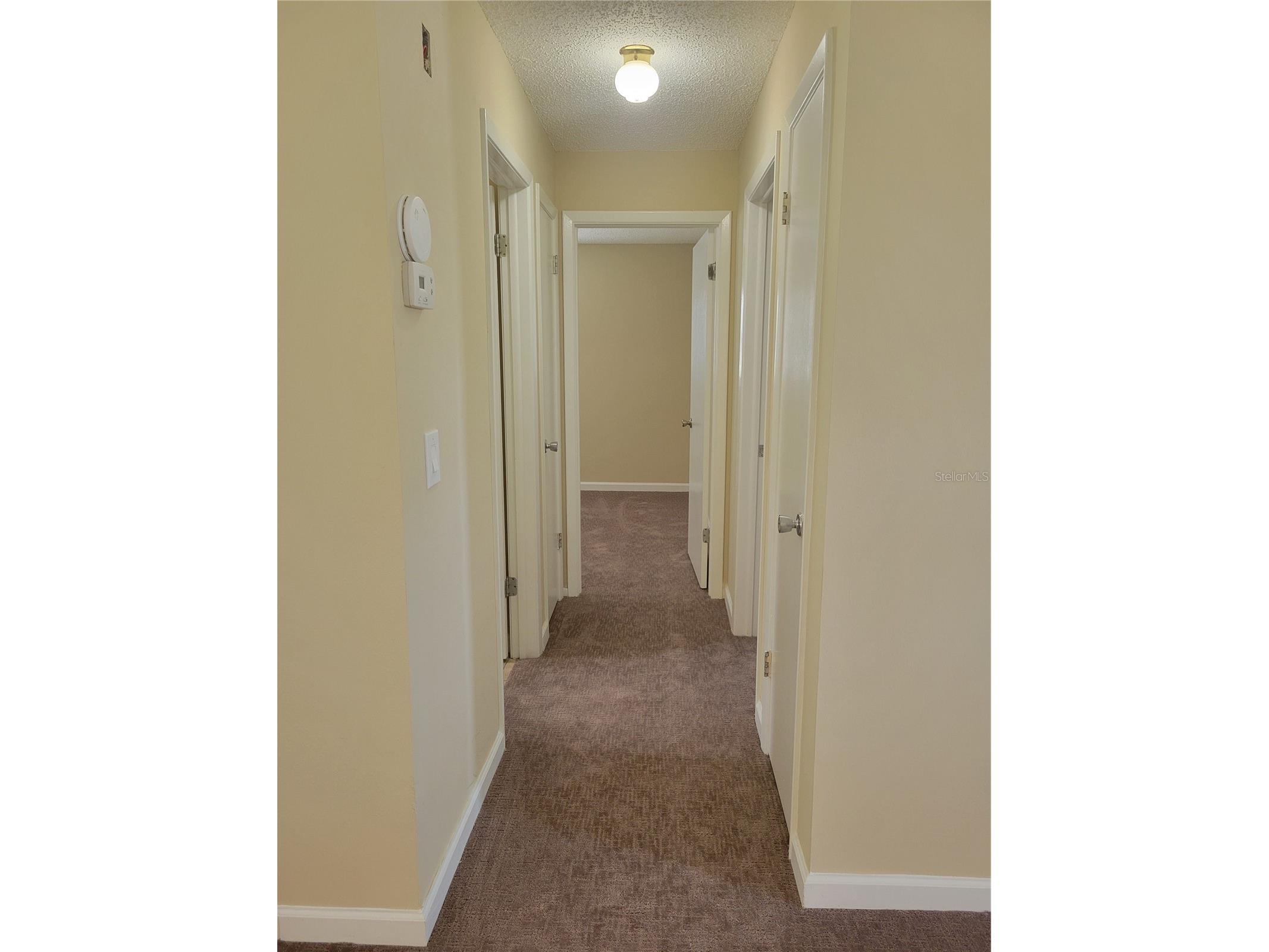 9022 Lingrove Road Weeki Wachee FL 34613 TB8512969 image16