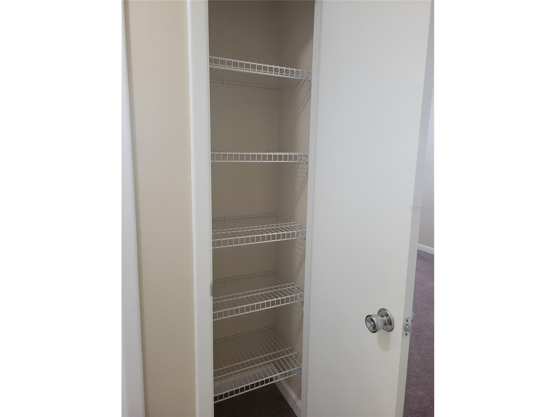 9022 Lingrove Road Weeki Wachee FL 34613 TB8512969 image23