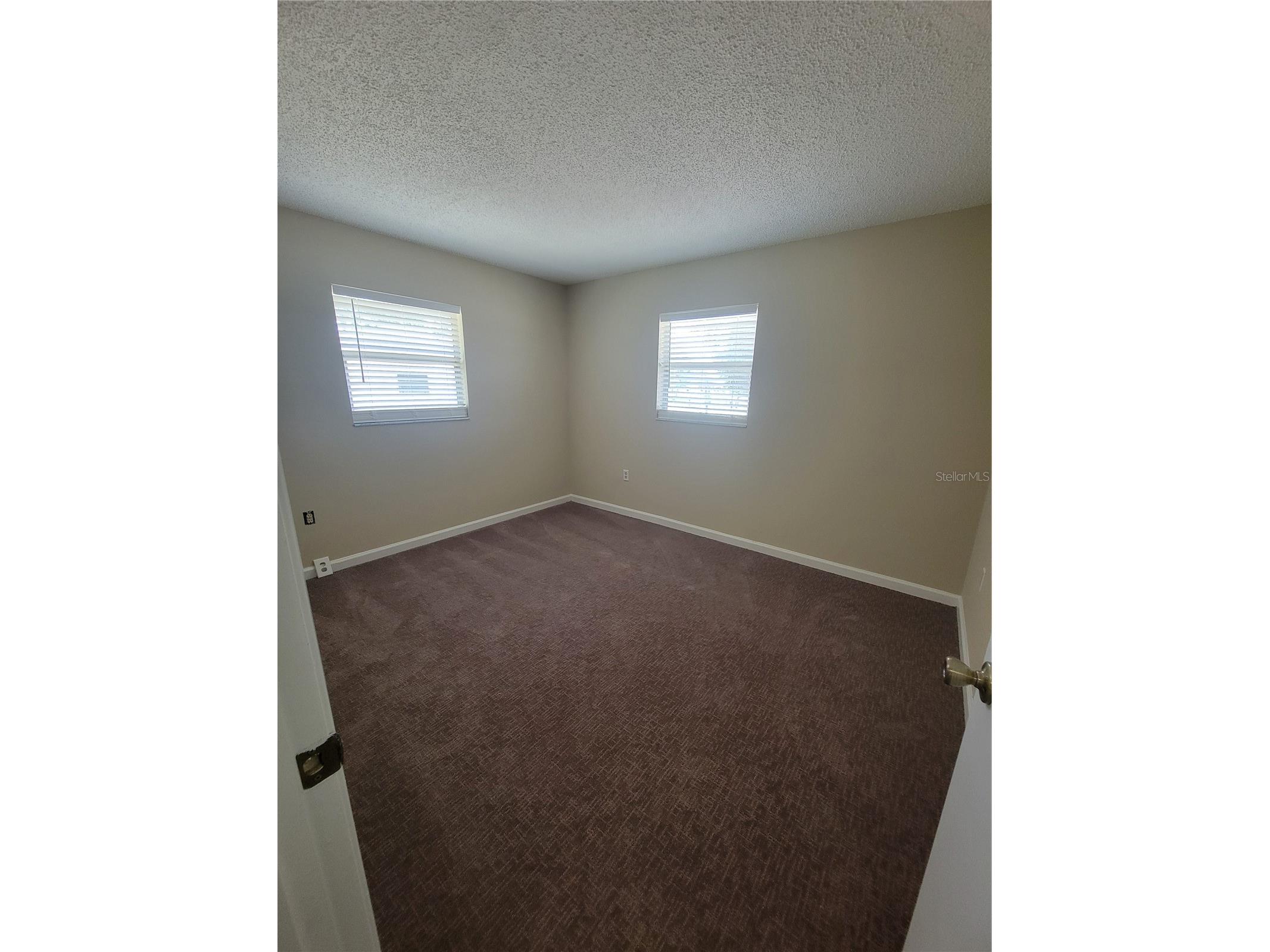 9022 Lingrove Road Weeki Wachee FL 34613 TB8512969 image24