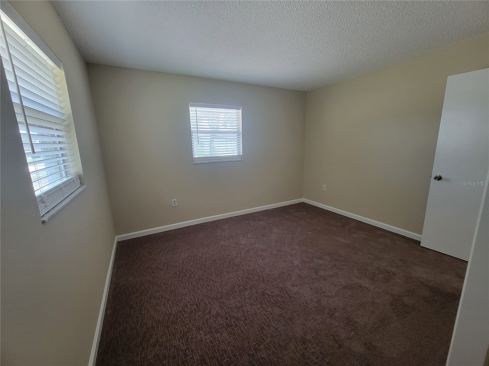 9022 Lingrove Road Weeki Wachee FL 34613 TB8512969 image25