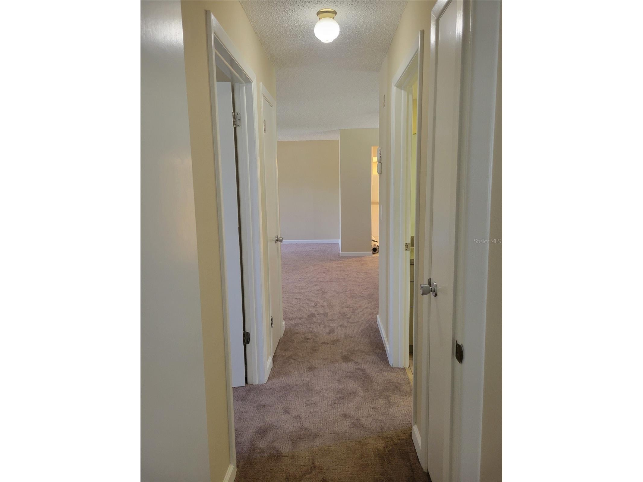 9022 Lingrove Road Weeki Wachee FL 34613 TB8512969 image26