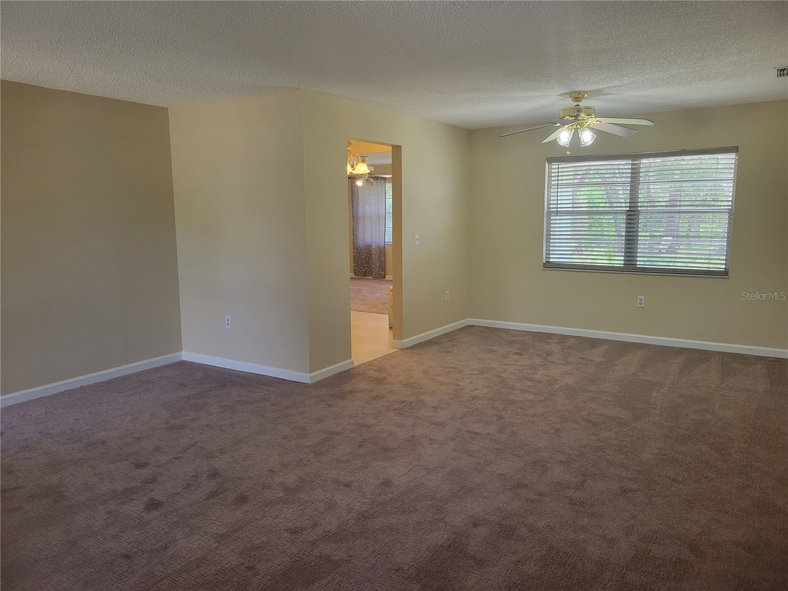 9022 Lingrove Road Weeki Wachee FL 34613 TB8512969 image27
