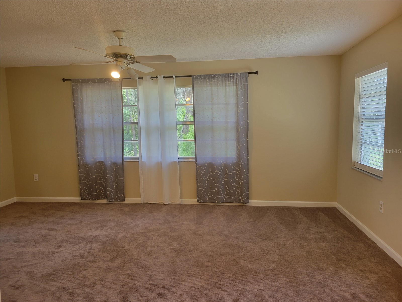 9022 Lingrove Road Weeki Wachee FL 34613 TB8512969 image36