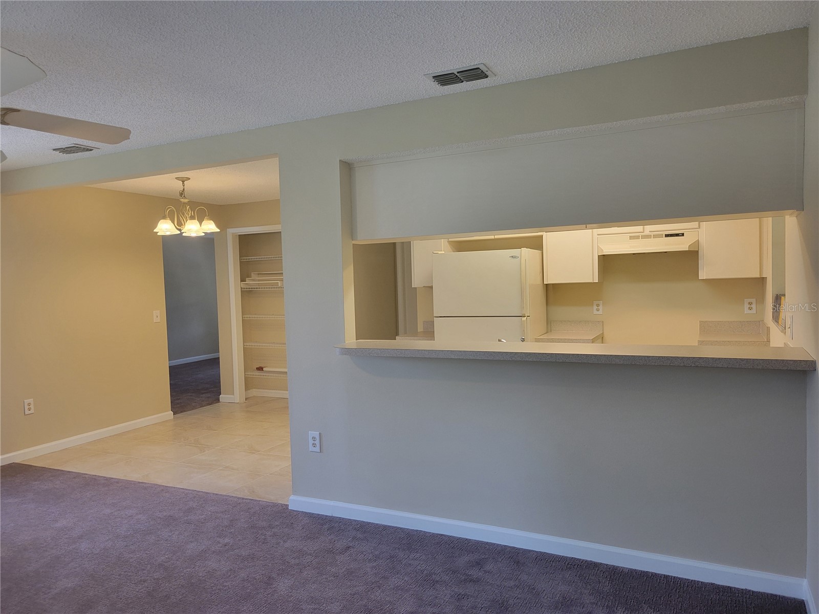 9022 Lingrove Road Weeki Wachee FL 34613 TB8512969 image39