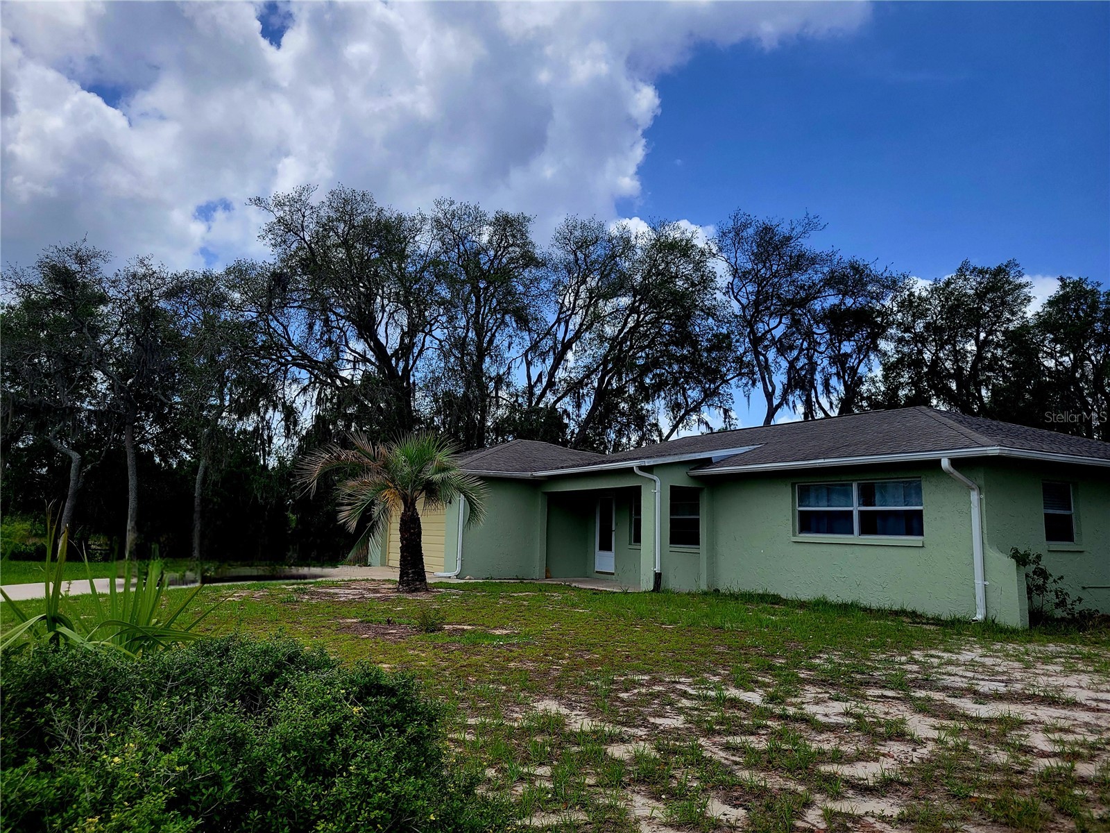 9022 Lingrove Road Weeki Wachee FL 34613 TB8512969 image4