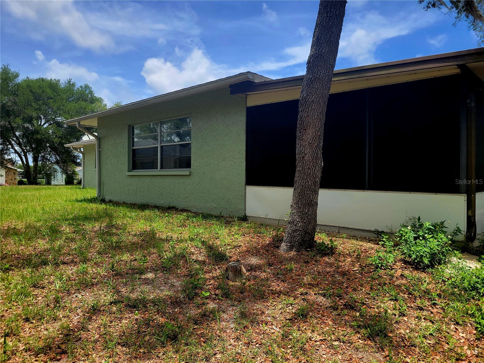 9022 Lingrove Road Weeki Wachee FL 34613 TB8512969 image48