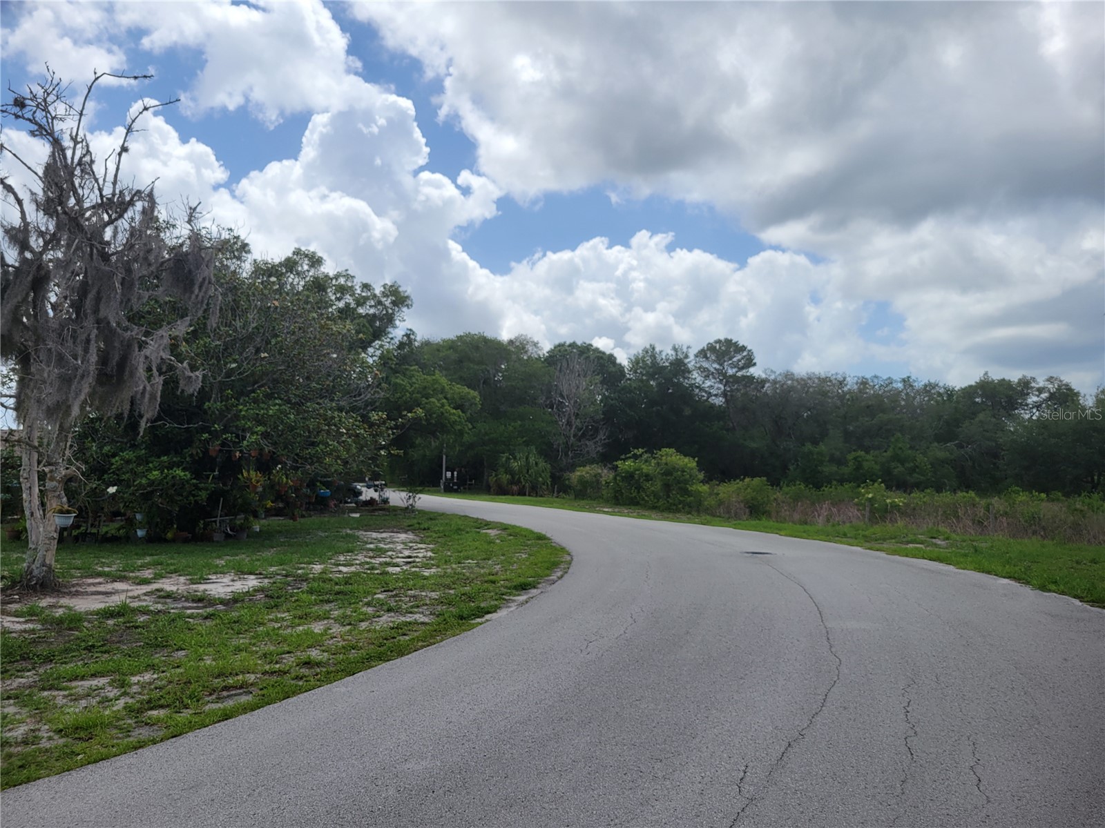 9022 Lingrove Road Weeki Wachee FL 34613 TB8512969 image51