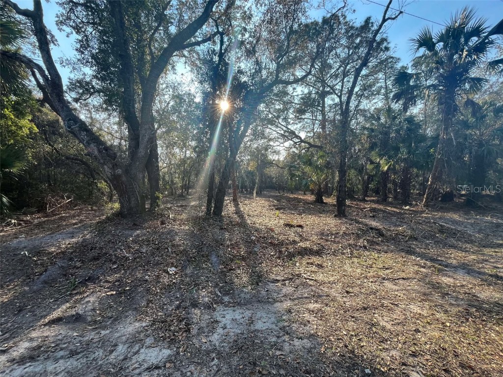 9022 N Cacalia Drive Crystal River FL 34428 OM694222 image1