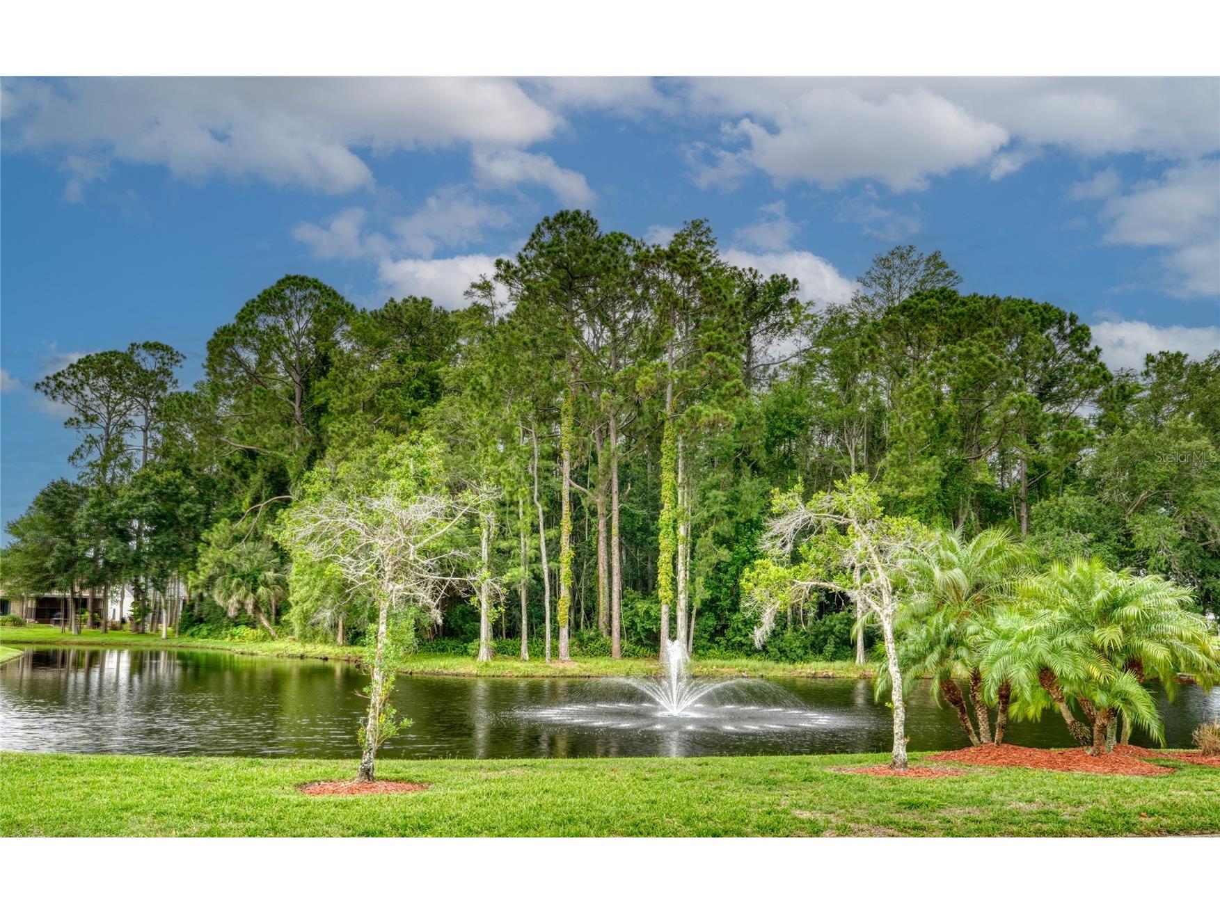 9022 Ramsgate Drive #9022 New Port Richey FL 34655 TB8517092 image40