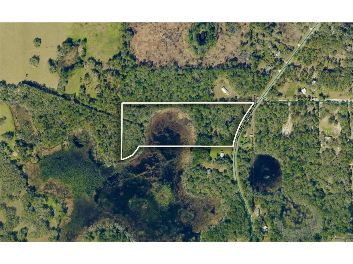 9022 SE 180th Avenue Road Ocklawaha FL 32179 OM709233 image1