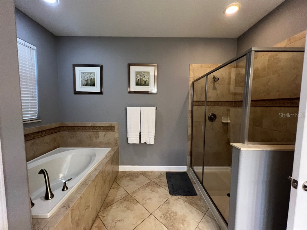 9022 Shadow Mountain Street Davenport FL 33896 O6345871 image15