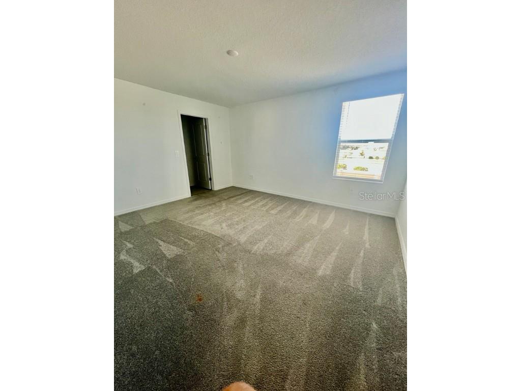 9023 Bay Leaf Drive Parrish FL 34219 TB8452891 image21