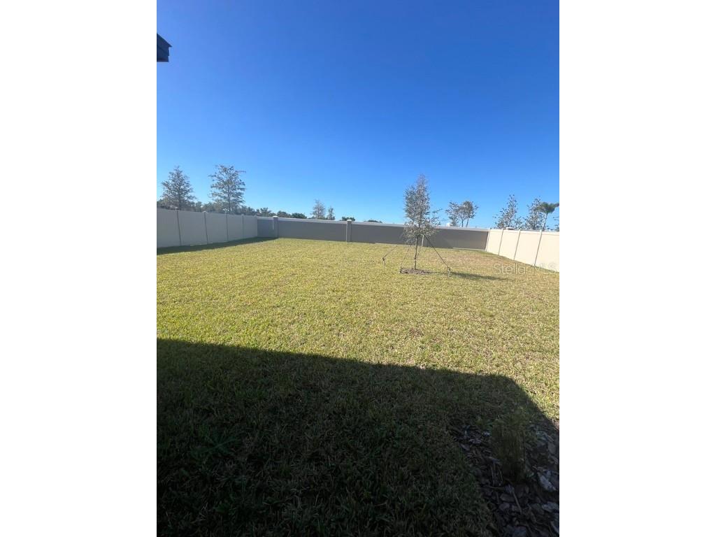 9023 Bay Leaf Drive Parrish FL 34219 TB8452891 image31