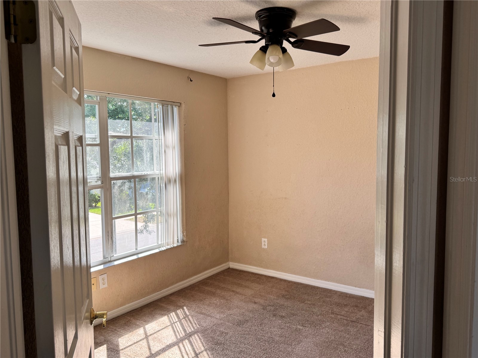 9023 Pinebreeze Drive Riverview FL 33578 TB8498809 image15
