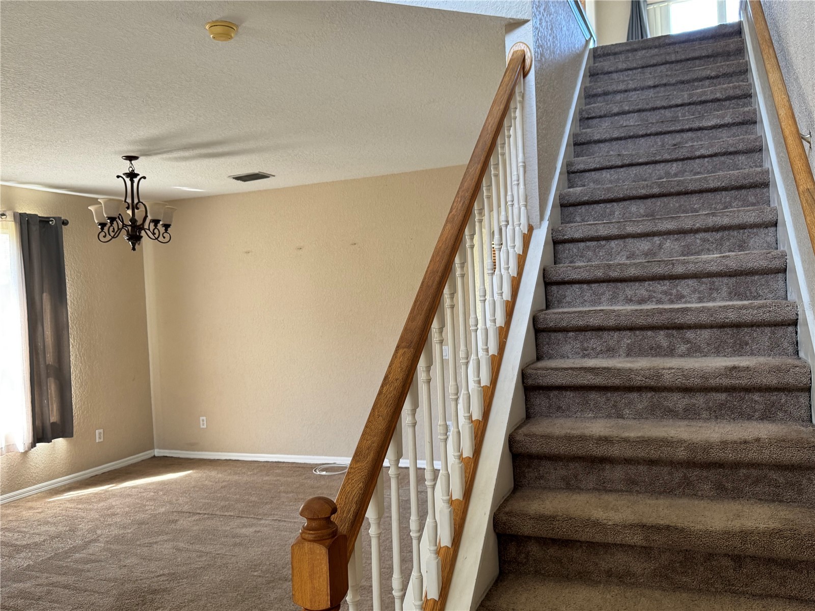 9023 Pinebreeze Drive Riverview FL 33578 TB8498809 image9