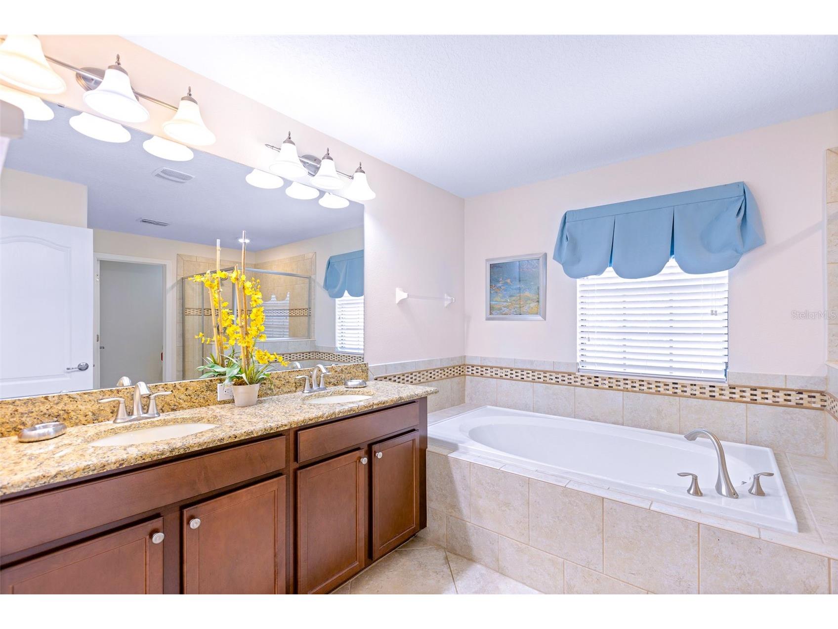 9023 Shadow Mountain Street Davenport FL 33896 O6389397 image30