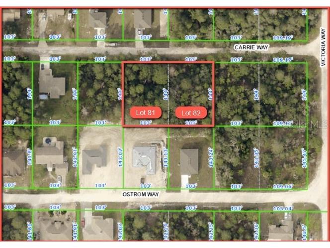 9024 Carrie Way Brooksville FL 34613 O6177866 image1