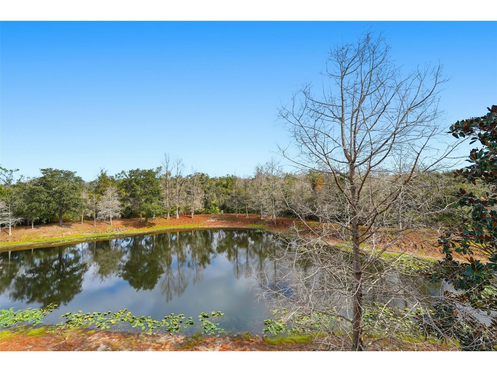 9024 White Sage Loop Lakewood Ranch FL 34202 TB8465033 image31