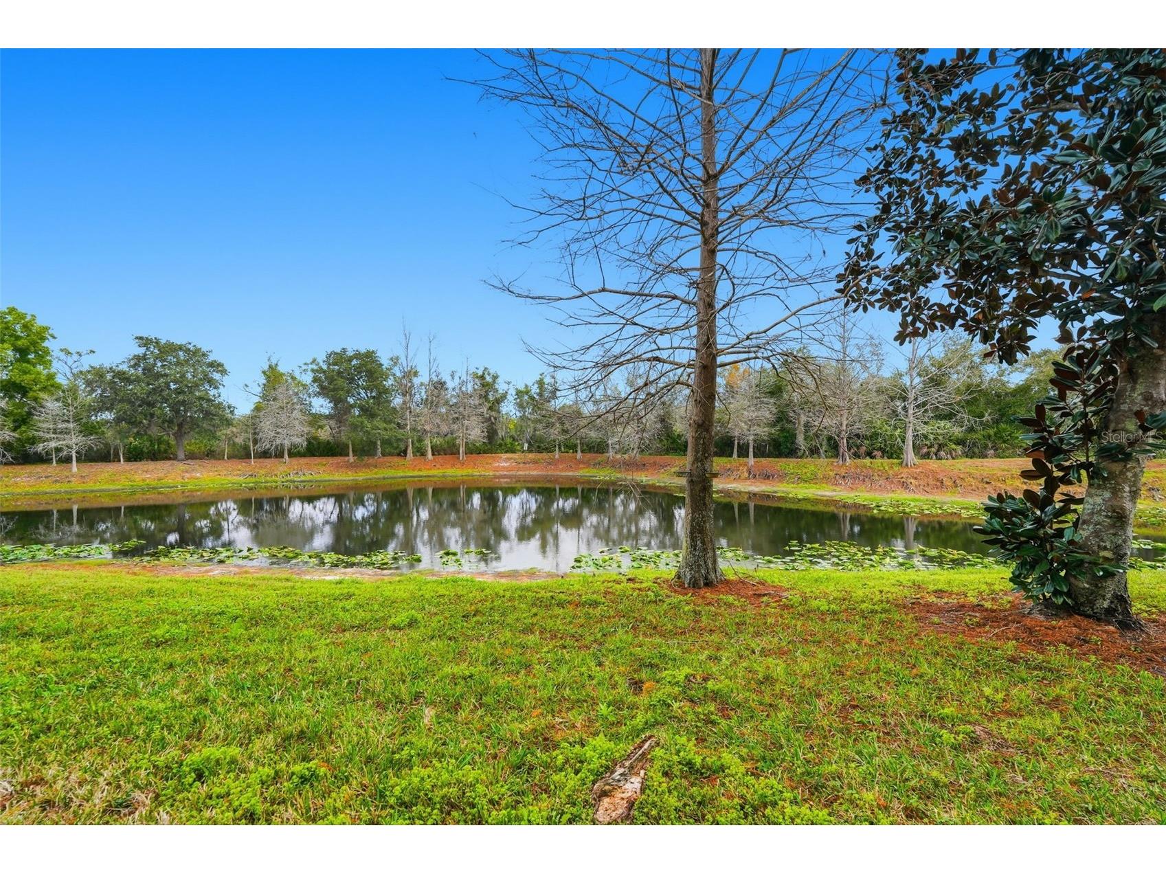 9024 White Sage Loop Lakewood Ranch FL 34202 TB8465033 image47