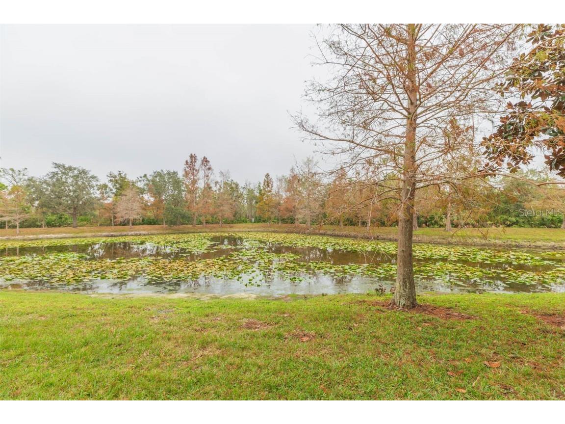 9024 White Sage Loop Lakewood Ranch FL 34202 TB8423224 image28