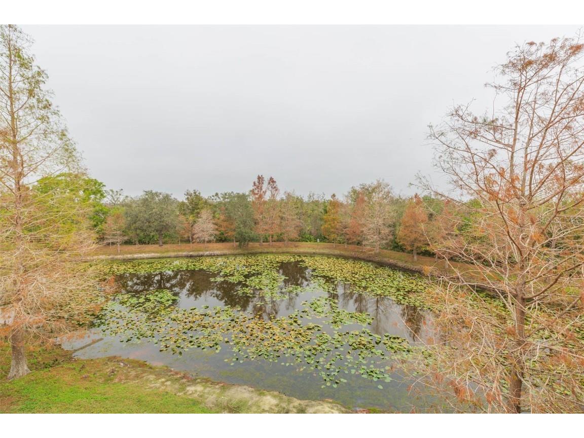 9024 White Sage Loop Lakewood Ranch FL 34202 TB8423224 image29