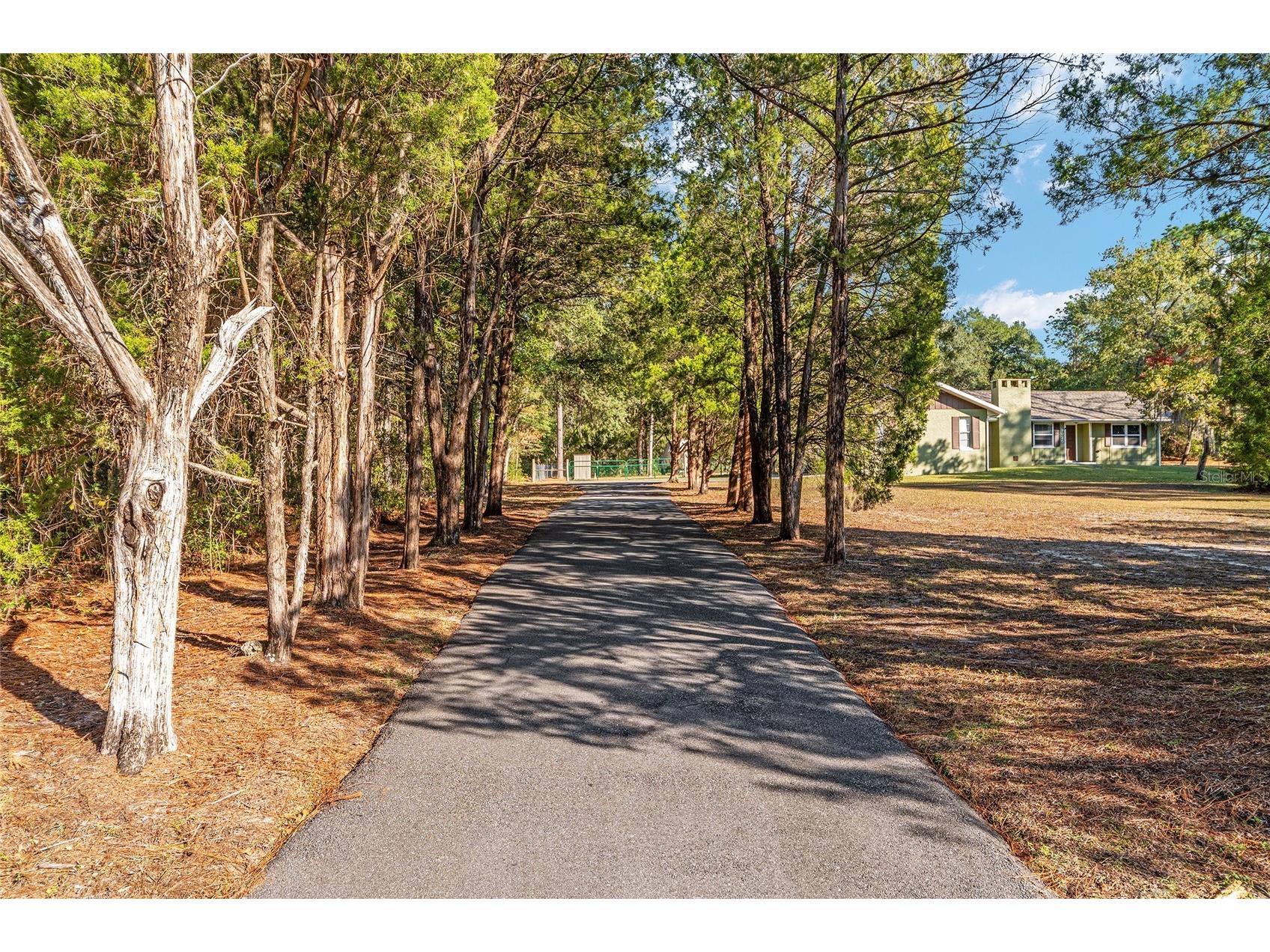 9025 SW 215th Avenue Dunnellon FL 34431 OM713789 image1