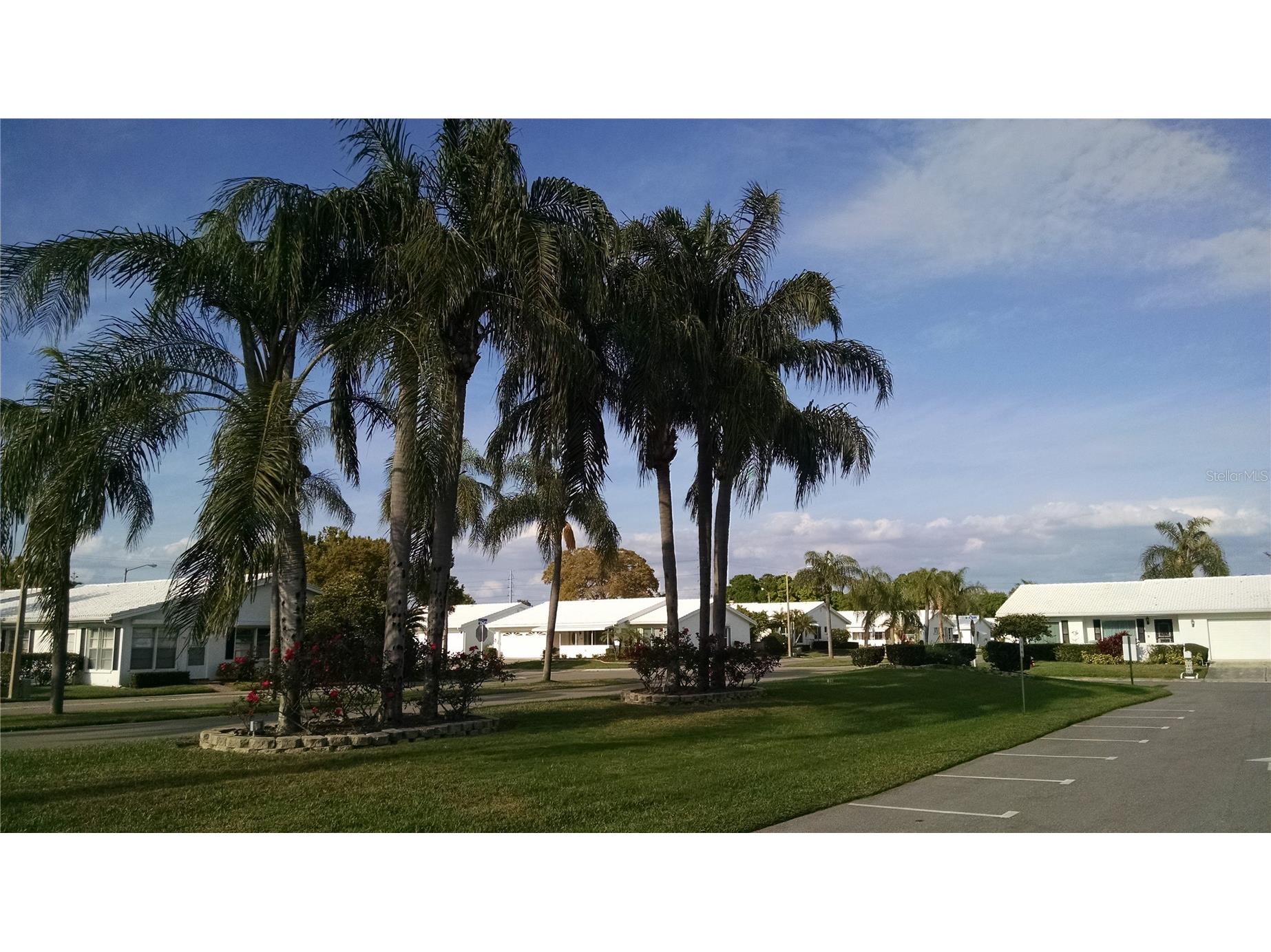 9026 37th Street N #6 Pinellas Park FL 33782 TB8467492 image57