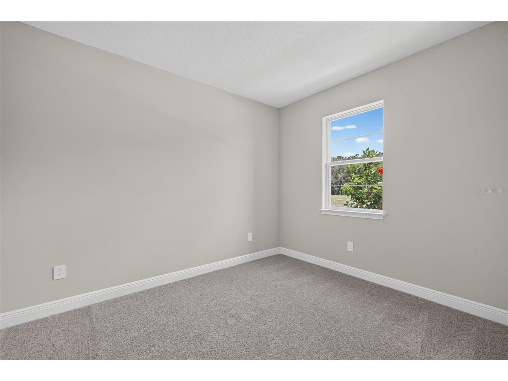 9026 Sundance Terrace Parrish FL 34219 TB8456951 image33