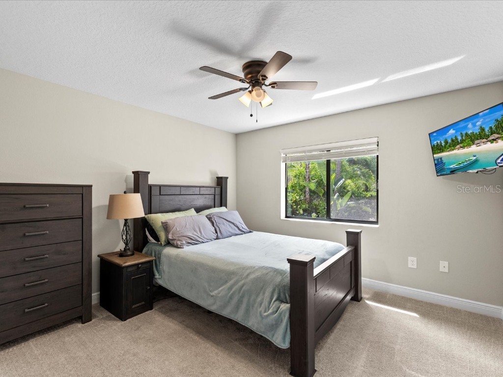 9027 Mavis Road Weeki Wachee FL 34613 W7879754 image28