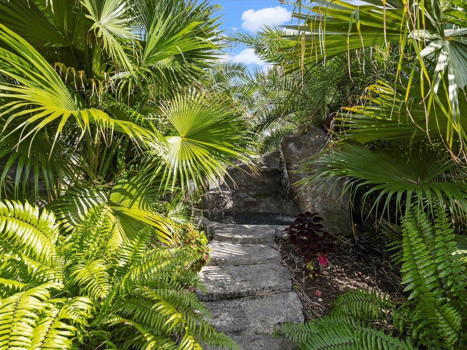 9027 Mavis Road Weeki Wachee FL 34613 W7886196 image35